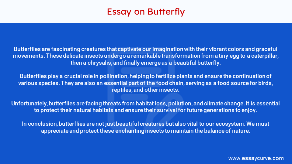 Short Essay on Butterfly
