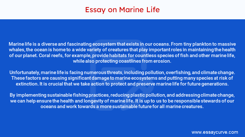 Short Essay on Marine Life